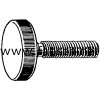 DIN653 Knurled thumb screws thin type 滾花平頭螺釘
