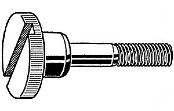 DIN464 SZ Slotted knurled thumb screws with collar TYPE SZ 開槽滾花螺釘