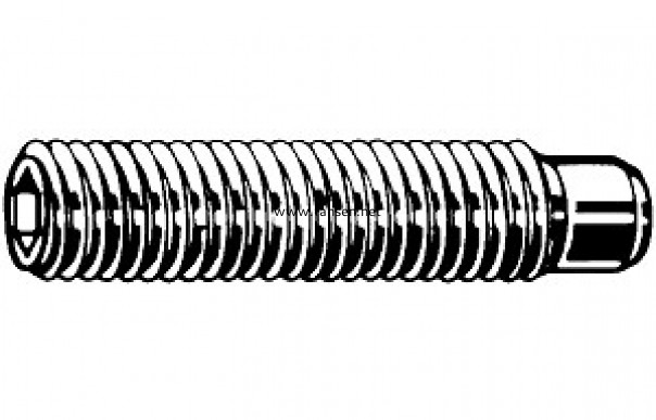 DIN915 Hexagon Socket  Set Screws  With Dog Point 柱端內六角緊定